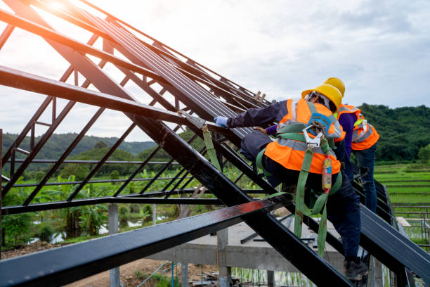 Best Roof Gutter Cleaning  in West Bishop, CA